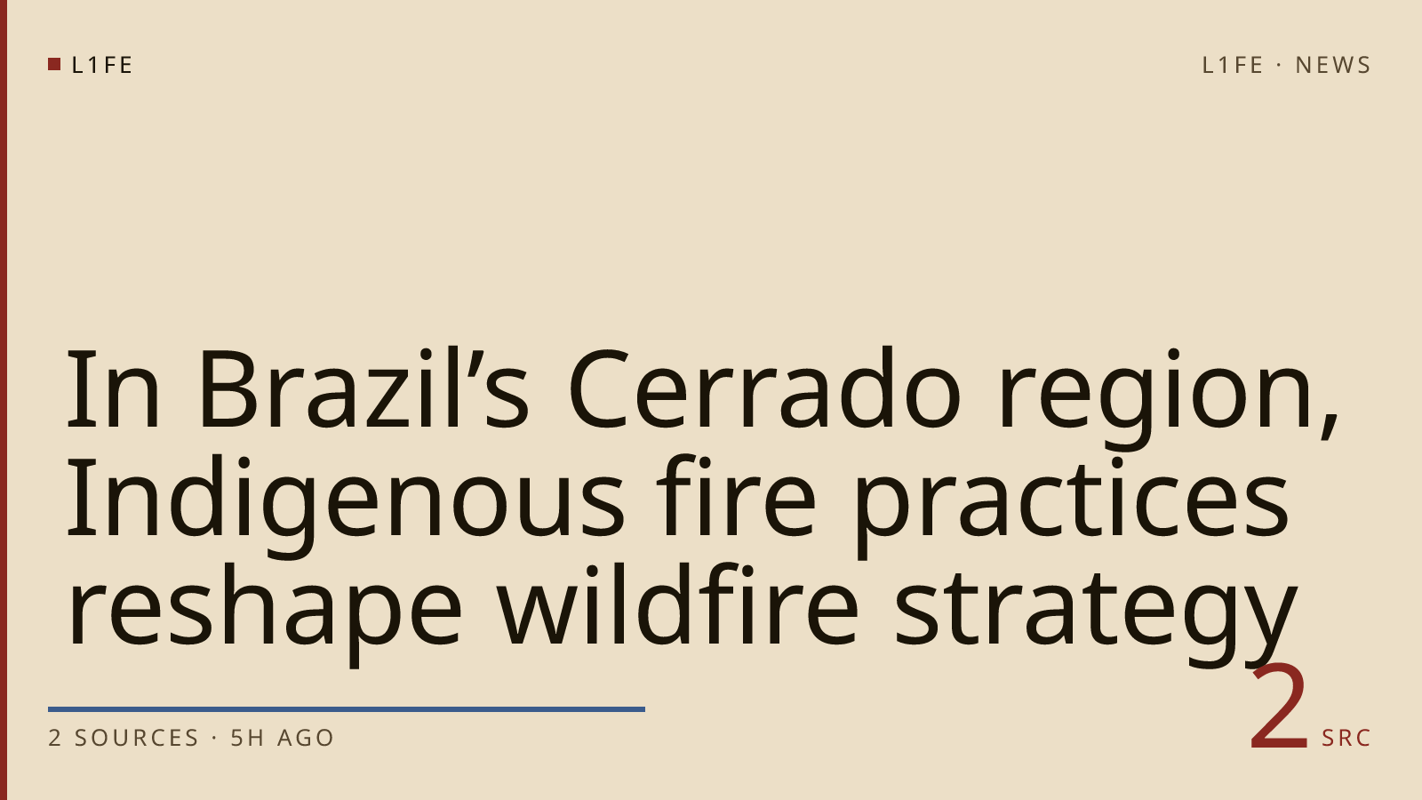 In Brazil’s Cerrado region, Indigenous fire practices reshape wildfire strategy